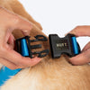 HUFT Classic Personalised (Mobile No.) Dog Collar - Ocean Blue - Heads Up For Tails