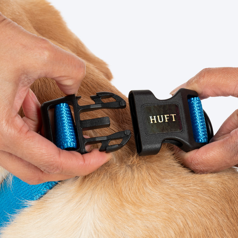 HUFT Classic Personalised (Mobile No.) Dog Collar - Ocean Blue - Heads Up For Tails