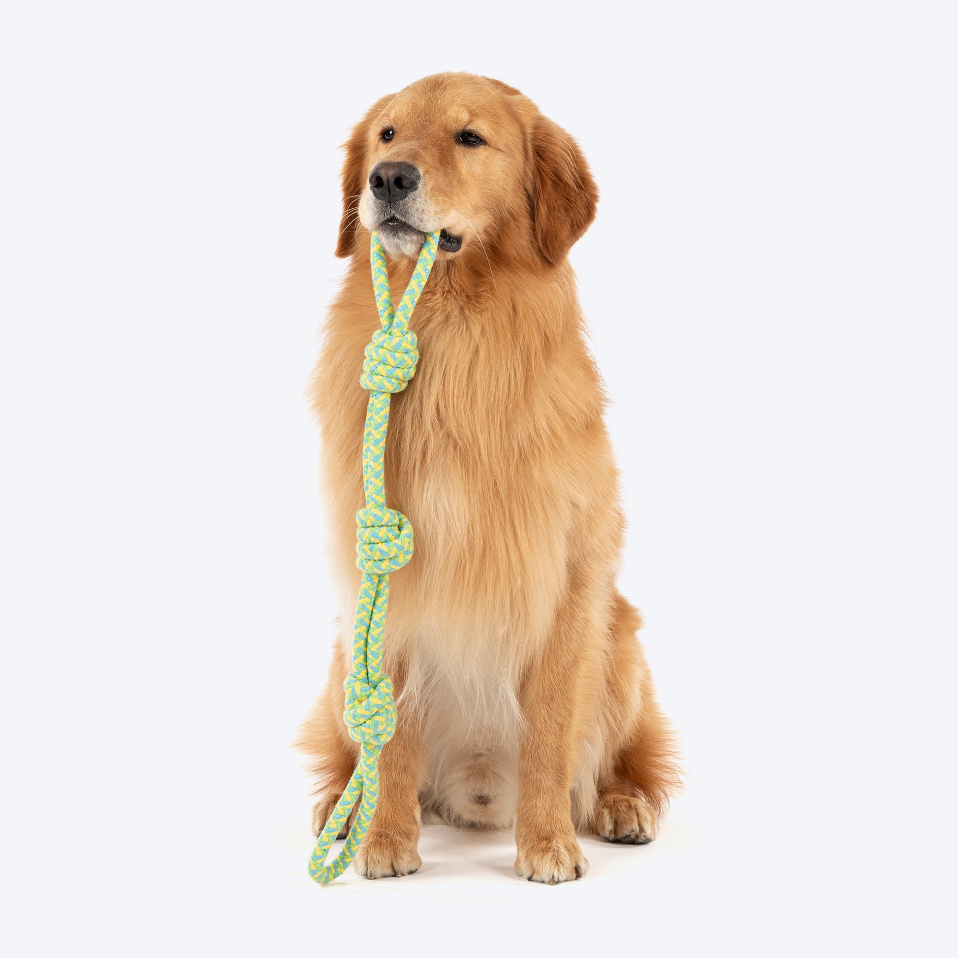 Dash Dog Tuff Tugger Rope Toy For Dog - Multicolor - Heads Up For Tails