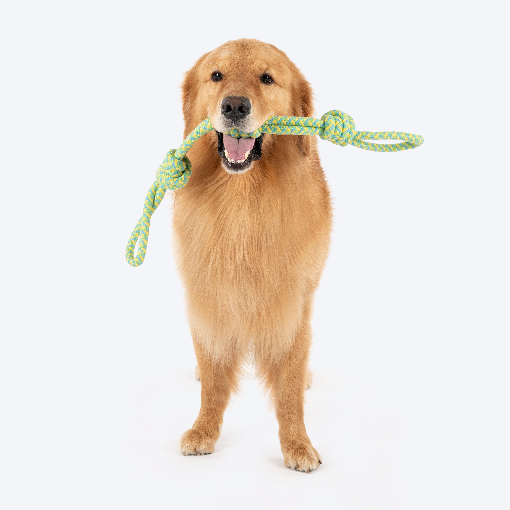 Dash Dog Tuff Tugger Rope Toy For Dog - Multicolor - Heads Up For Tails