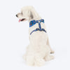 HUFT Scribble Dribble Adjustable Harness For Dog - Blue - Heads Up For Tails