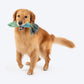 Dash Dog Toss 'n Twirl Rope Toy For Dog - Blue & Yellow - Heads Up For Tails