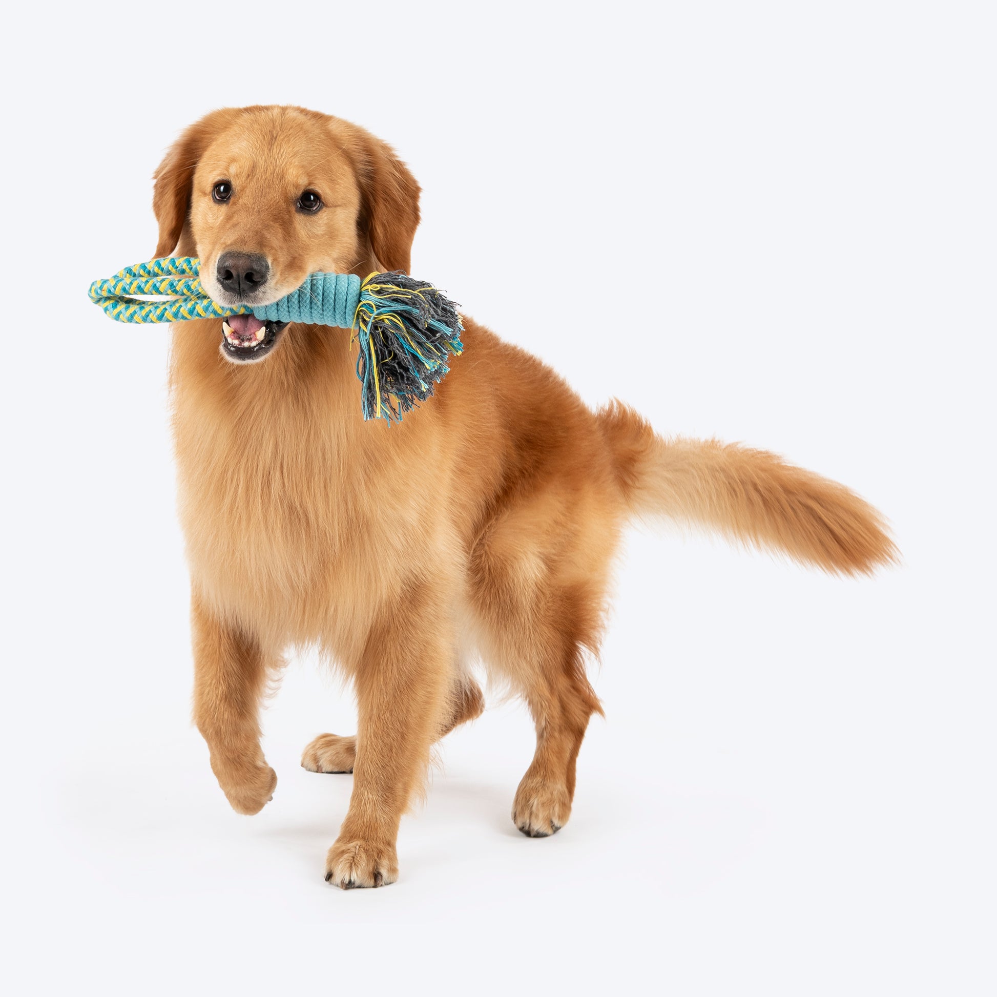 Dash Dog Toss 'n Twirl Rope Toy For Dog - Blue & Yellow - Heads Up For Tails