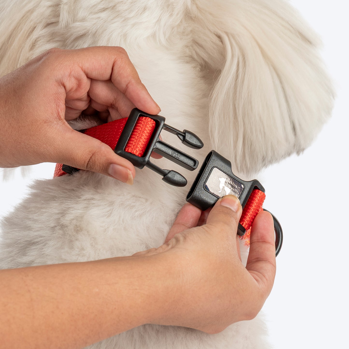 HUFT Classic Collar For Dog - Rust Orange