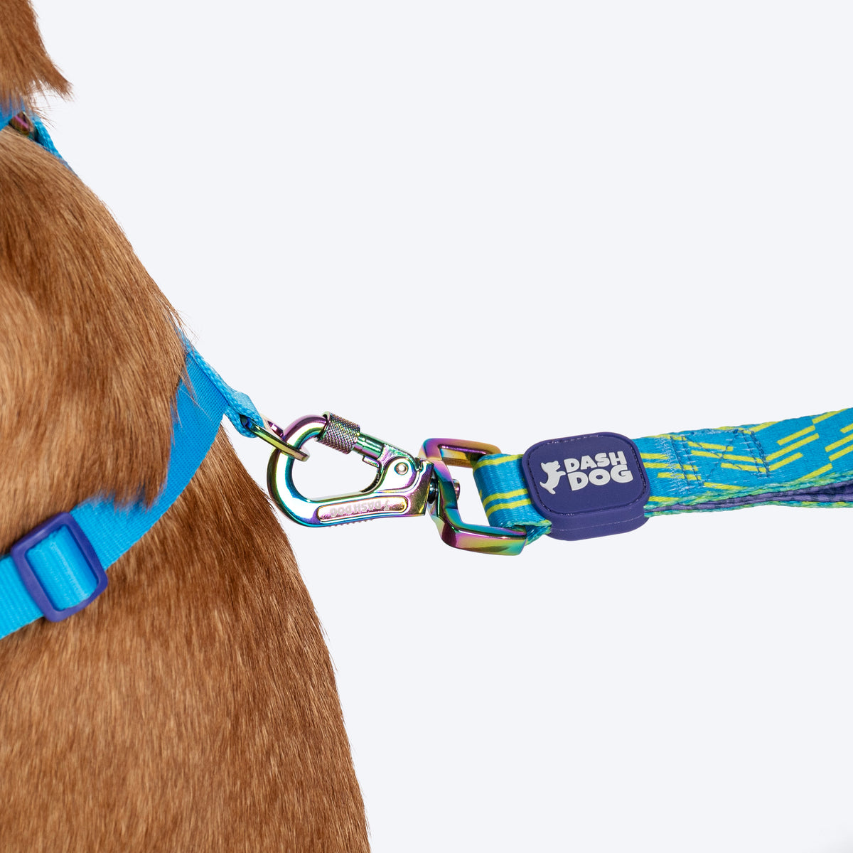 Dash Dog Vector Dual Handle Leash For Dog - Aqua Blue - Heads Up For Tails