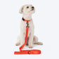 HUFT Classic Leash For Dog - Rust Orange