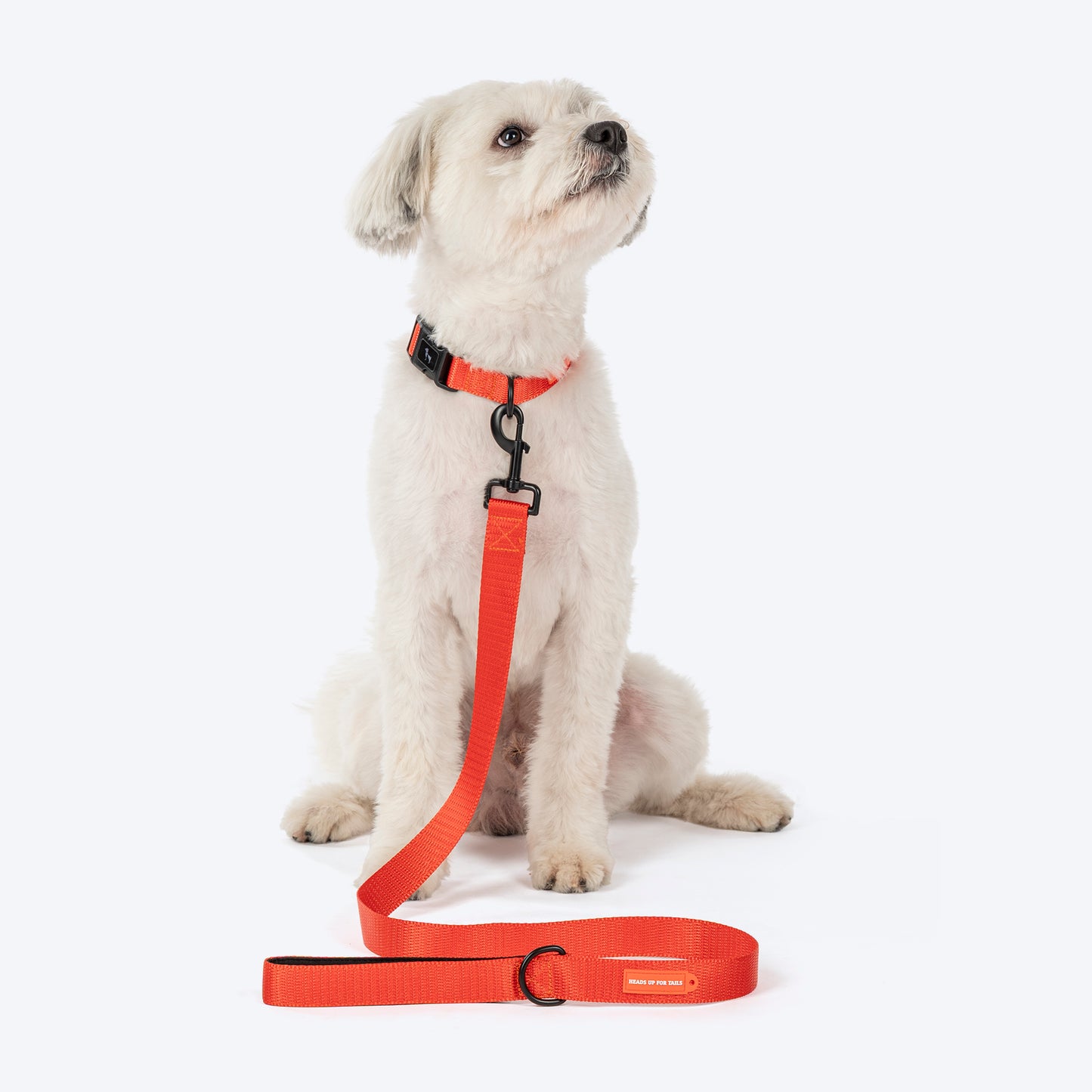HUFT Classic Leash For Dog - Rust Orange