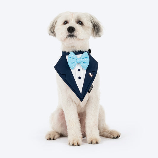 HUFT Mr Pawsh Tuxedo Bandana For Dog - Blue - Heads Up For Tails