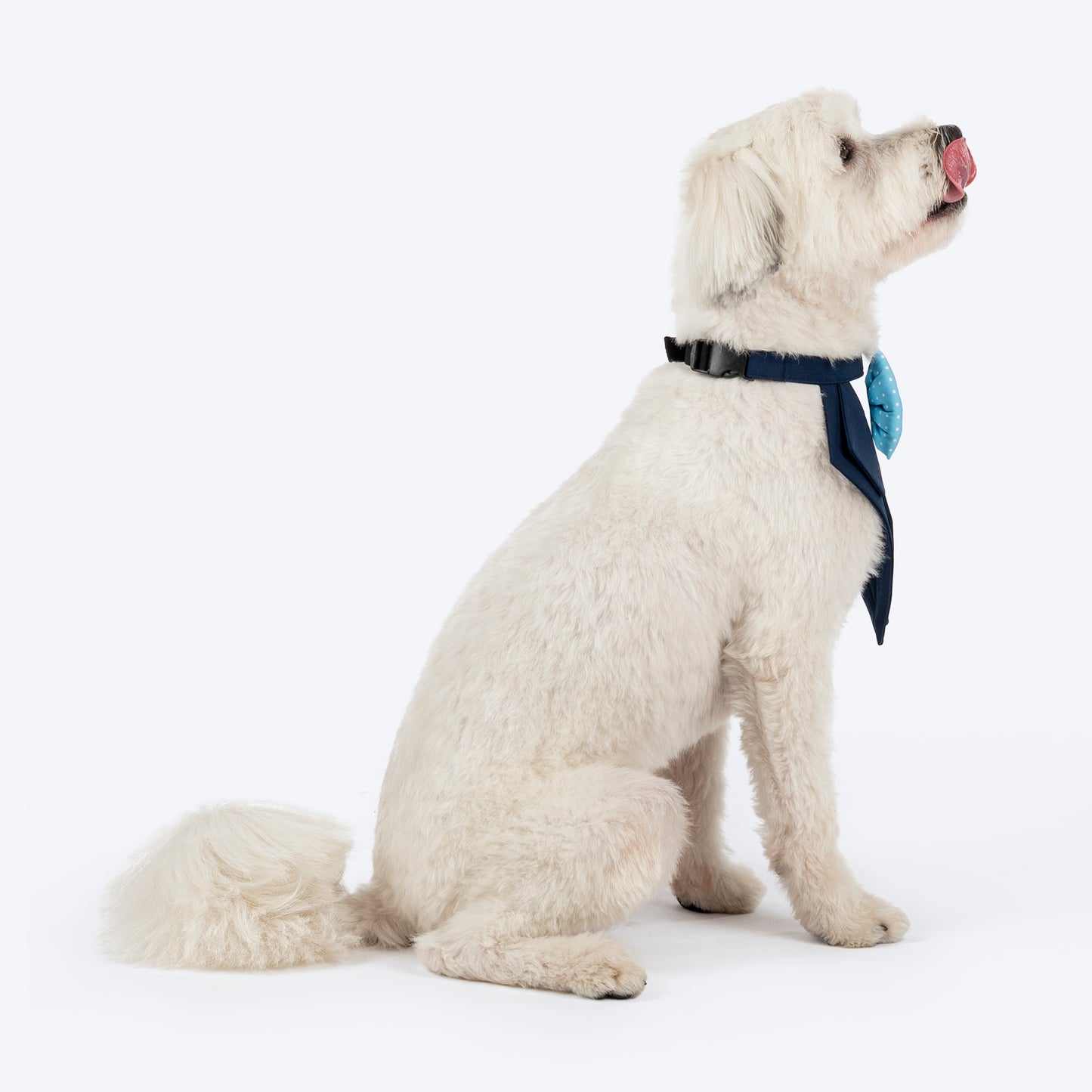 HUFT Mr Pawsh Tuxedo Bandana For Dog - Blue - Heads Up For Tails