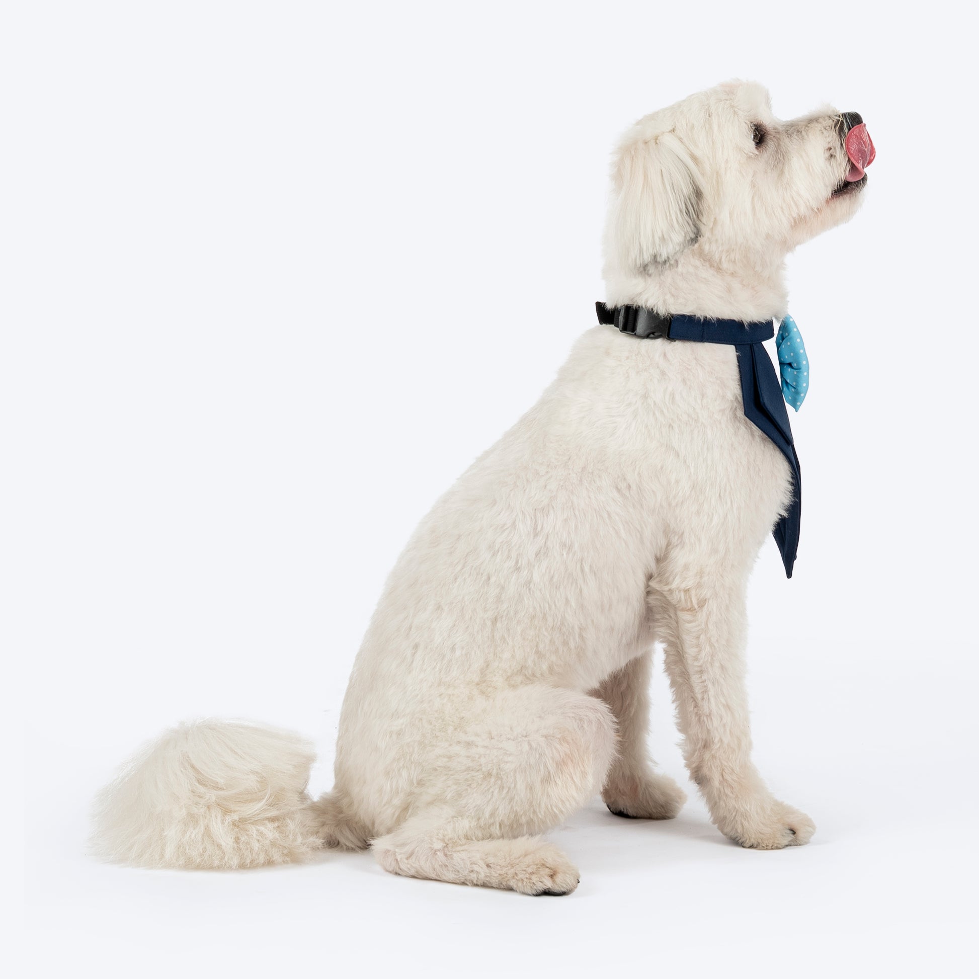 HUFT Mr Pawsh Tuxedo Bandana For Dog - Blue - Heads Up For Tails