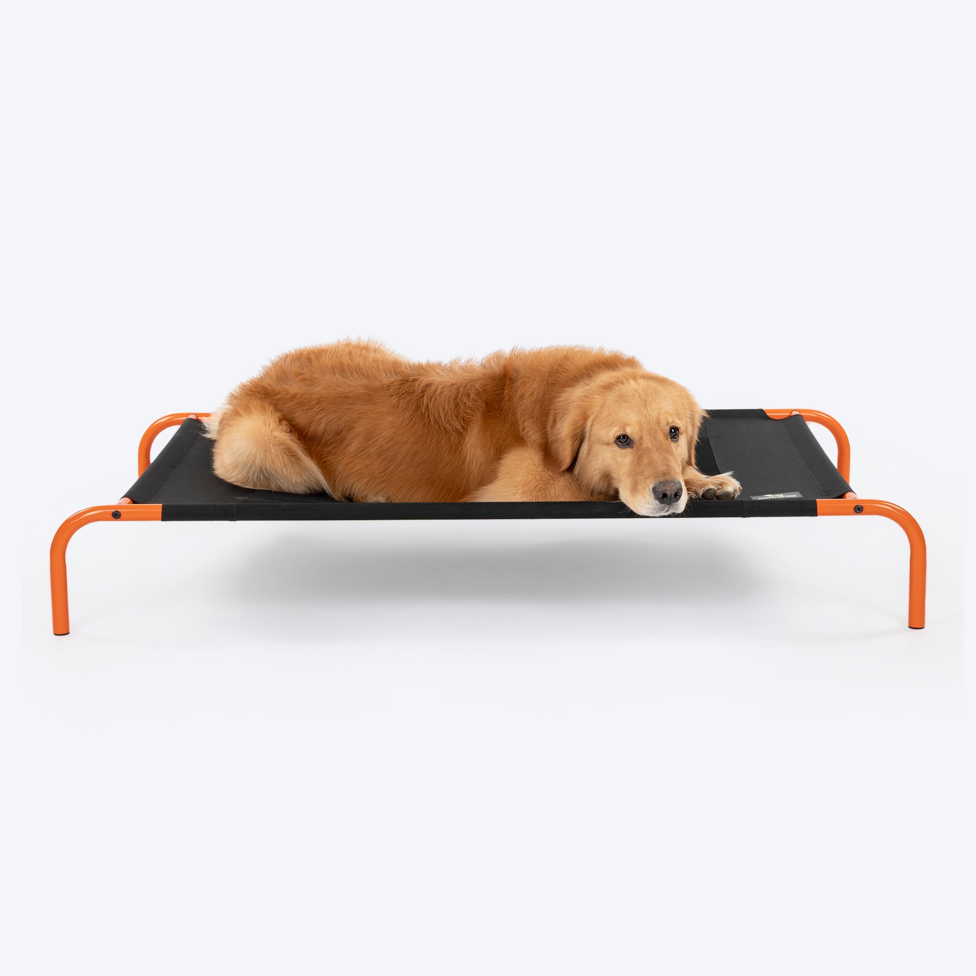 HUFT Elevated Bed For Dog - Black & Orange - Heads Up For Tails