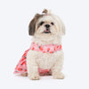 HUFT Berrylicious Printed Dress For Dog - Baby Pink - Heads Up For Tails