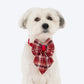 HUFT Tinsel Joy Collar With Bow Tie For Dog - Multicolour