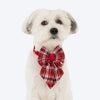 HUFT Tinsel Joy Collar With Bow Tie For Dog - Multicolour - Heads Up For Tails