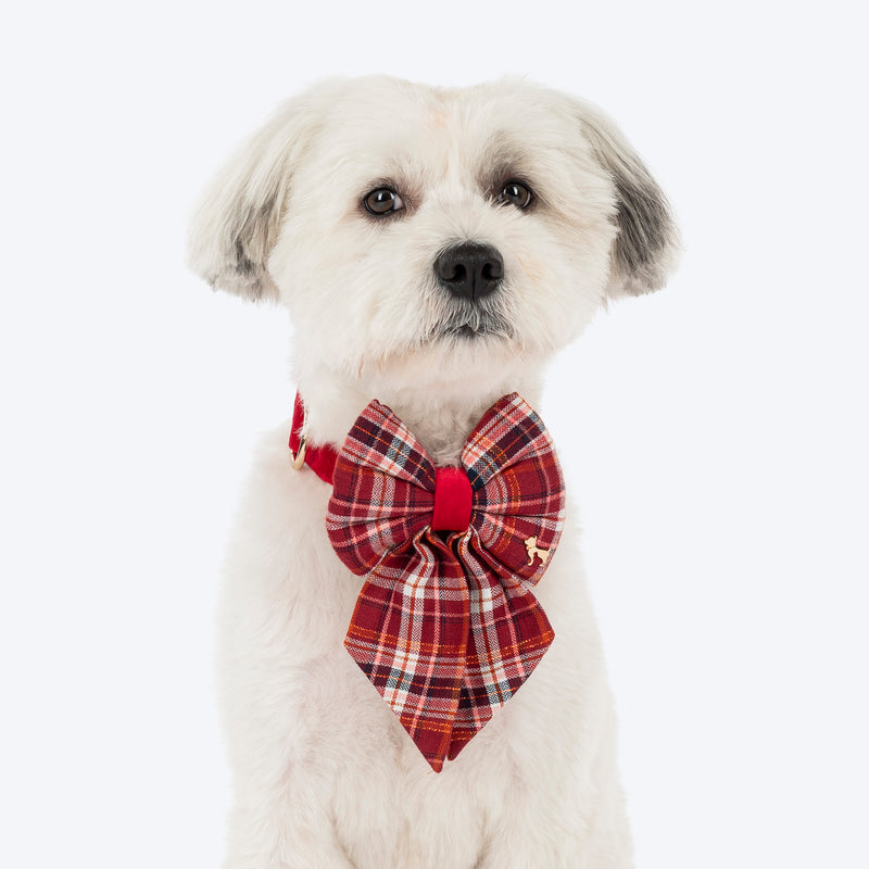 HUFT Tinsel Joy Collar With Bow Tie For Dog - Multicolour - Heads Up For Tails