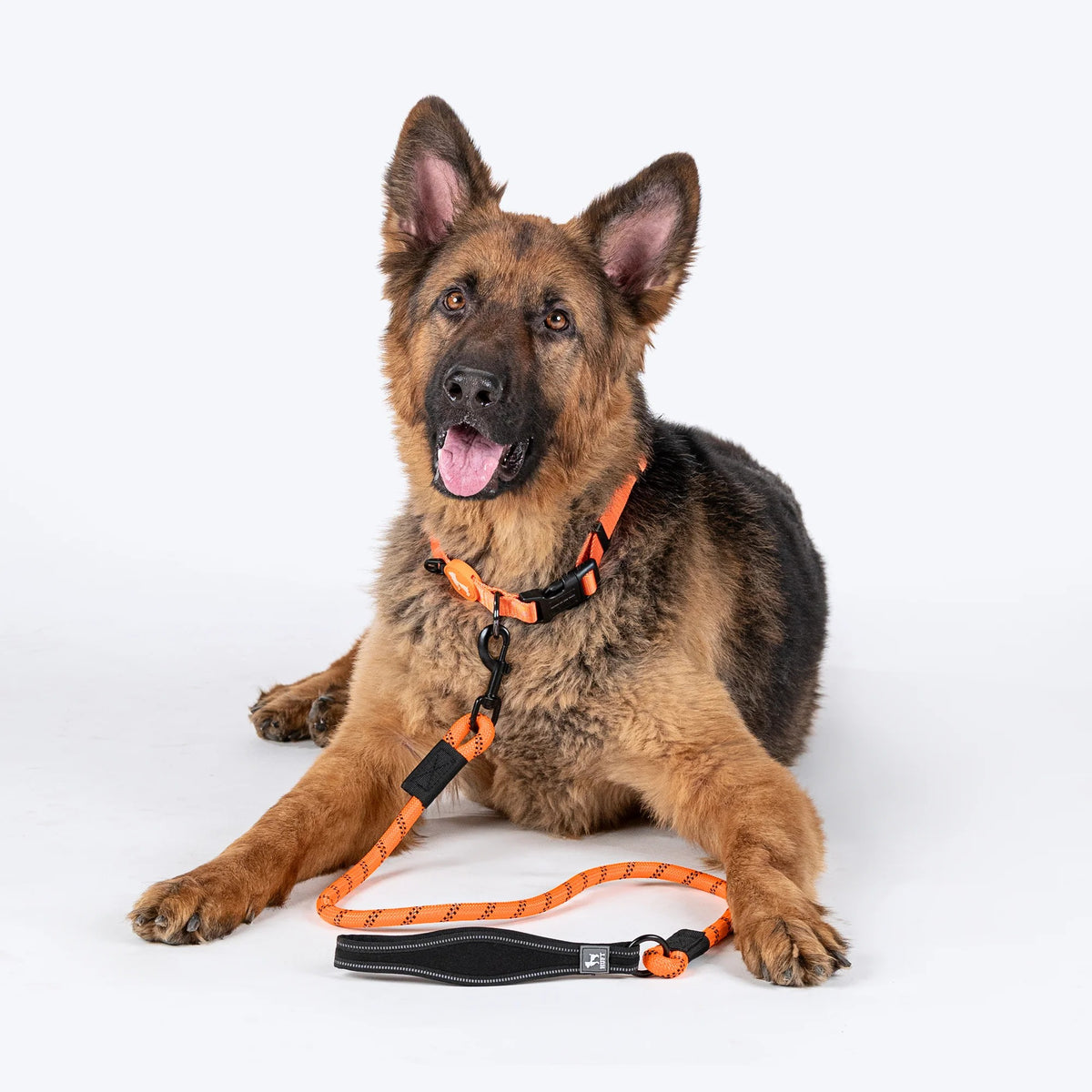 HUFT Classic Rope Leash For Dog - Orange - M - 5 ft - Heads Up For Tails