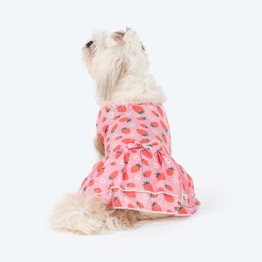 HUFT Berrylicious Printed Dress For Dog - Baby Pink - Heads Up For Tails