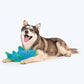 Dash Dog Shark Toy For Dogs - Blue_03