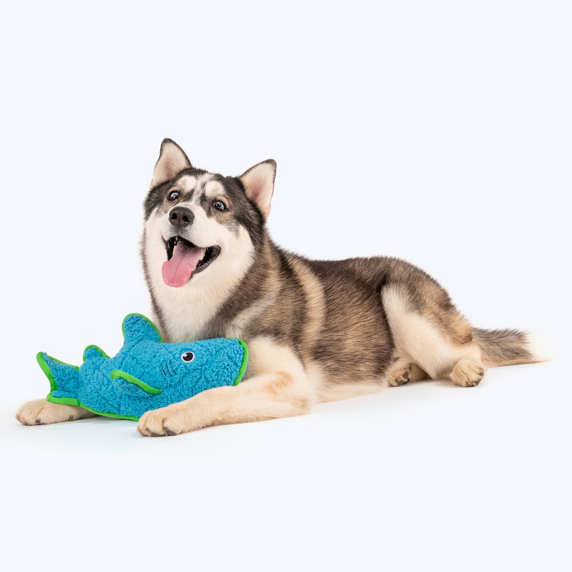 Dash Dog Shark Toy For Dogs - Blue_03