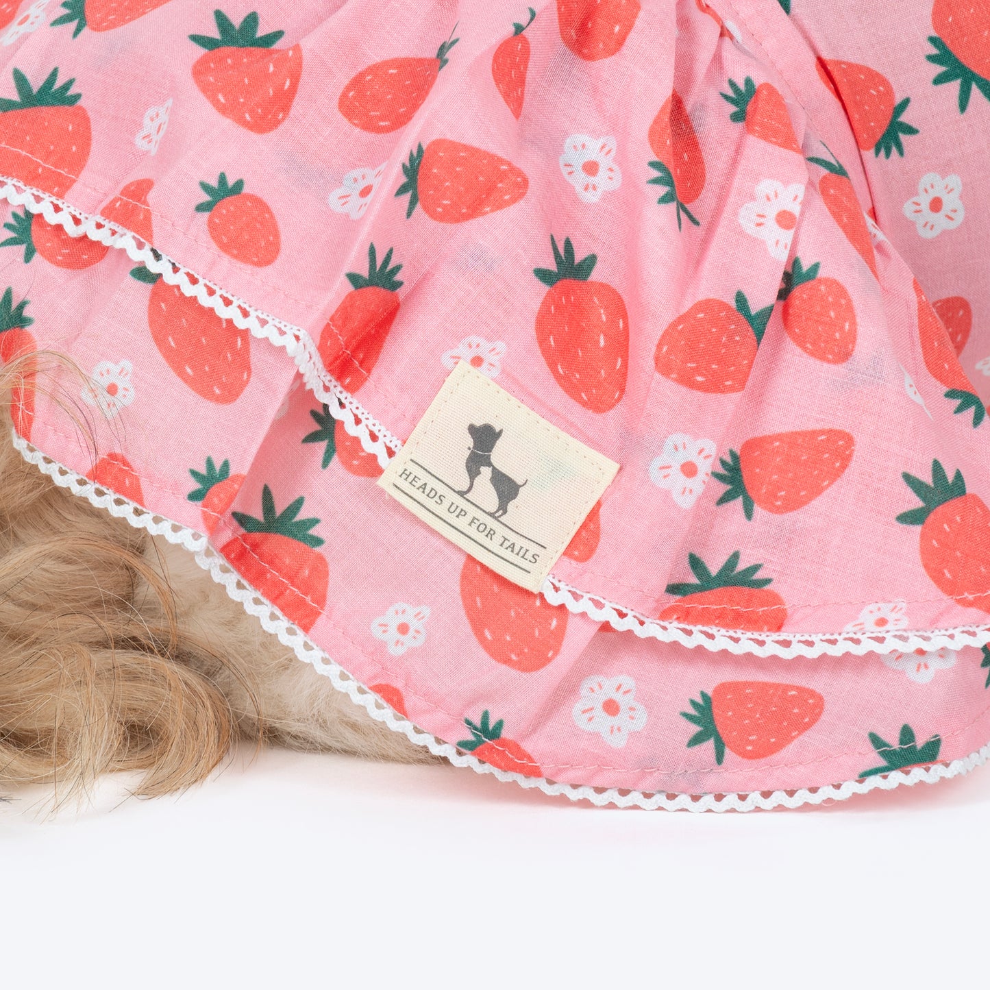 HUFT Berrylicious Printed Dress For Dog - Baby Pink - Heads Up For Tails