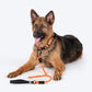 HUFT Rope Leash With Carabiner For Dog - Orange - 1.2 m - Heads Up For Tails