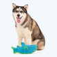 Dash Dog Shark Toy For Dogs - Blue_02