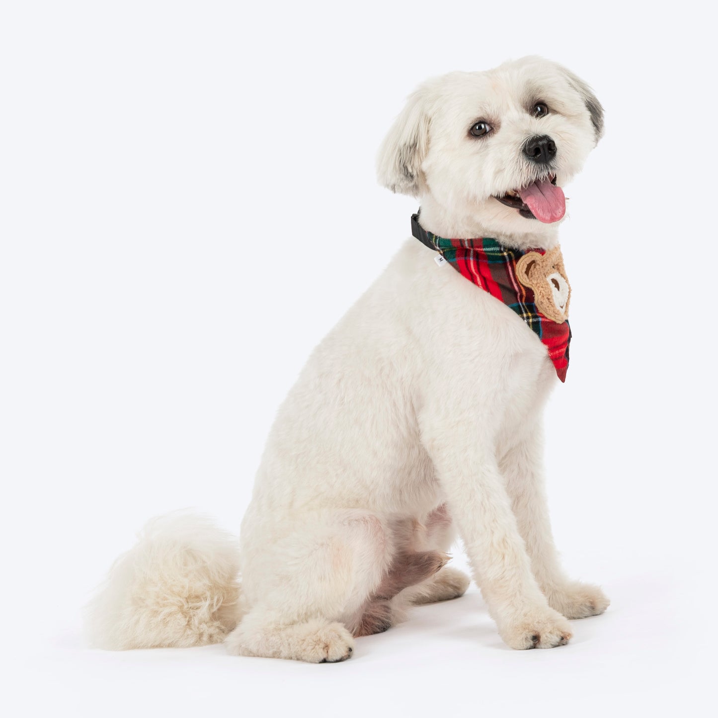 HUFT Merry Beary Bandana For Dog - Multicolour