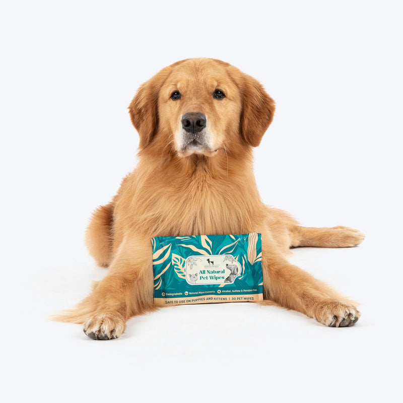 HUFT Biodegradable Pet Wipes - Pack Of 30