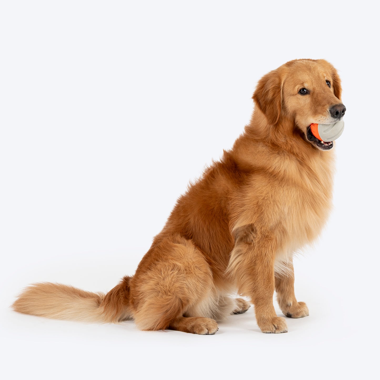 Dash Dog Double Trouble Ball For Dog - Orange & Grey