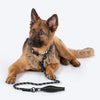 HUFT Rope Leash For Dog - Black - 1.2 m - Heads Up For Tails