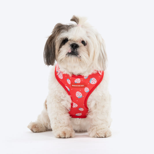 HUFT Berry Bliss Adjustable Harness For Dog - Red - Heads Up For Tails