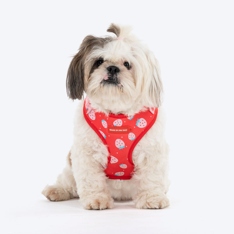 HUFT Berry Bliss Adjustable Harness For Dog - Red - Heads Up For Tails