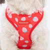 HUFT Berry Bliss Adjustable Harness For Dog - Red - Heads Up For Tails