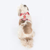 HUFT Berry Bliss Adjustable Harness For Dog - Red - Heads Up For Tails