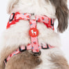 HUFT Berry Bliss Adjustable Harness For Dog - Red - Heads Up For Tails