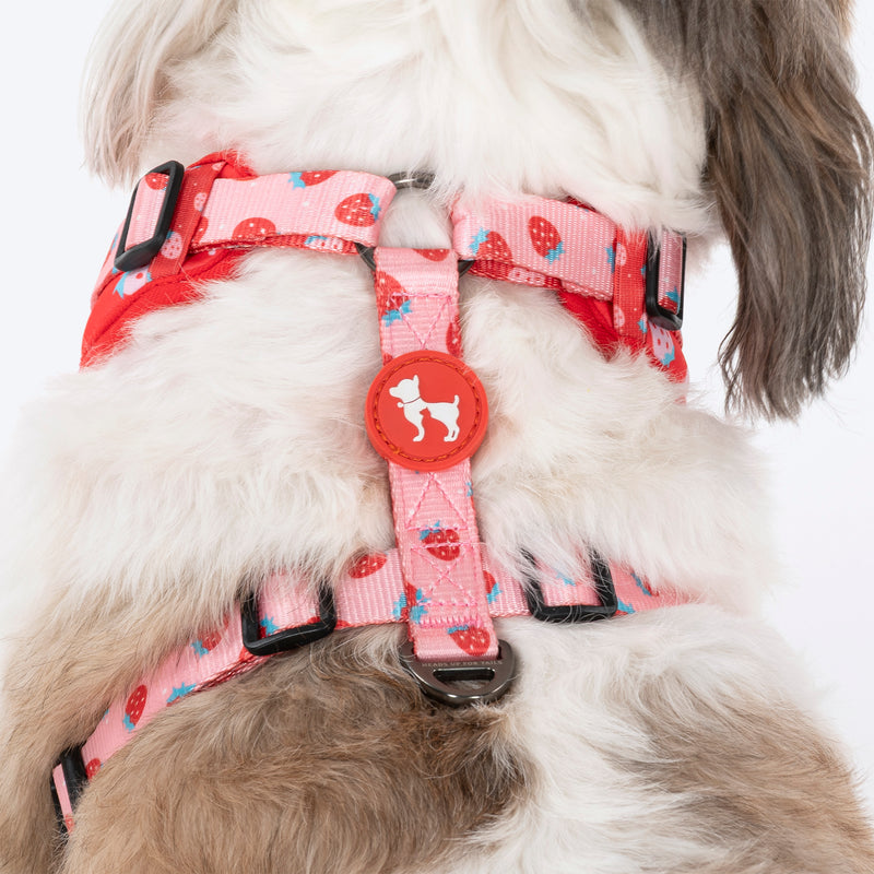 HUFT Berry Bliss Adjustable Harness For Dog - Red - Heads Up For Tails