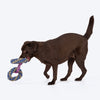 Dash Dog Double Donut Bungee Rope Toy For Dog - Blue - Heads Up For Tails