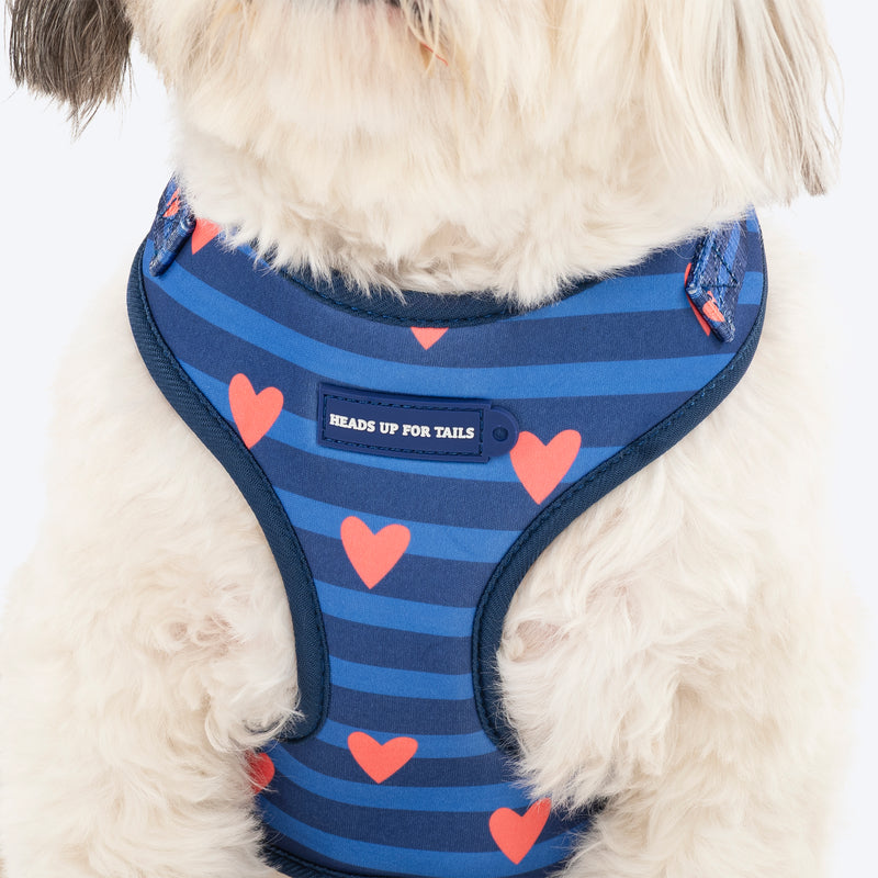 HUFT Striped Love Adjustable Harness For Dog - Navy - Heads Up For Tails
