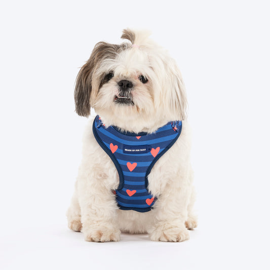HUFT Striped Love Adjustable Harness For Dog - Navy - Heads Up For Tails