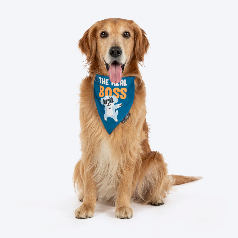 HUFT The Real Boss Bandana For Dog - Blue - Heads Up For Tails