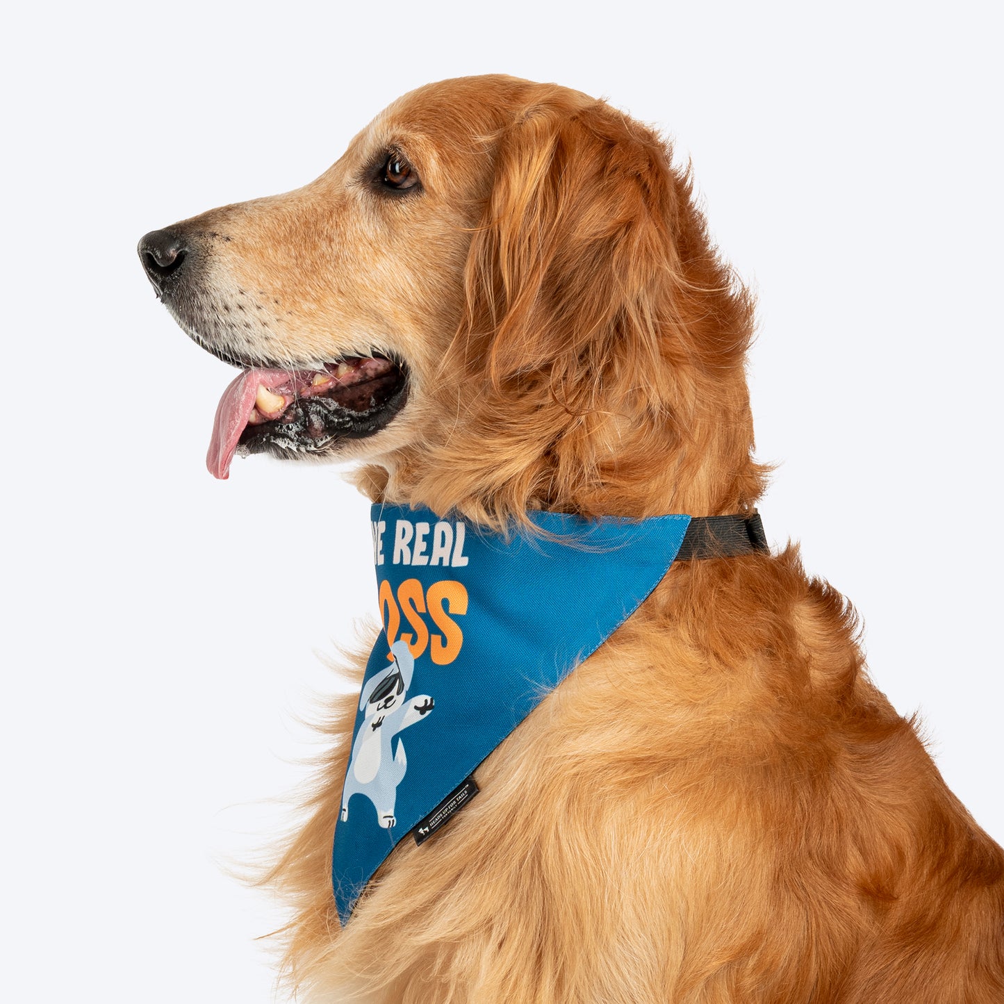 HUFT The Real Boss Bandana For Dog - Blue - Heads Up For Tails