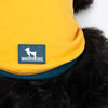 HUFT Drool Is Cool T-Shirt For Dog - Yellow - Heads Up For Tails
