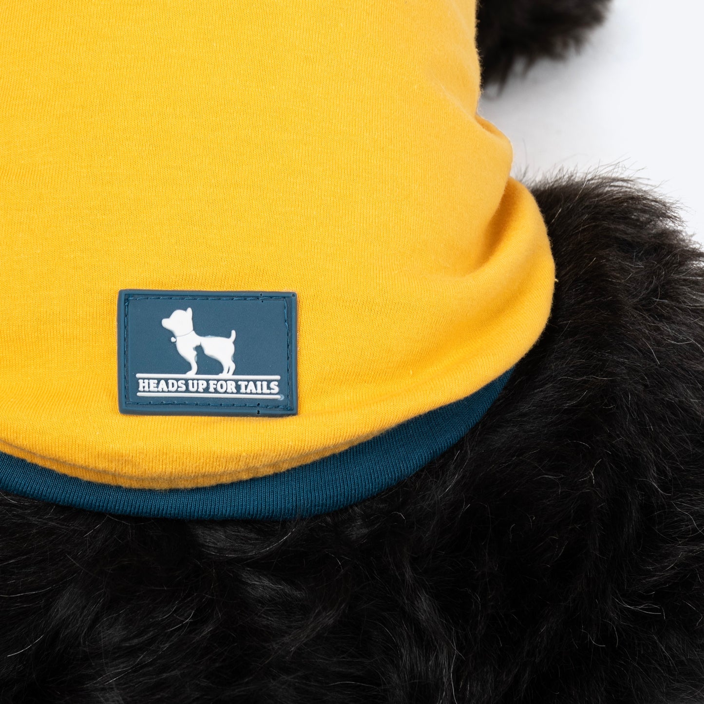 HUFT Drool Is Cool T-Shirt For Dog - Yellow - Heads Up For Tails