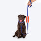 Dash Dog Oh-So-Handy Flexible Leash For Dog - Purple 7 ft