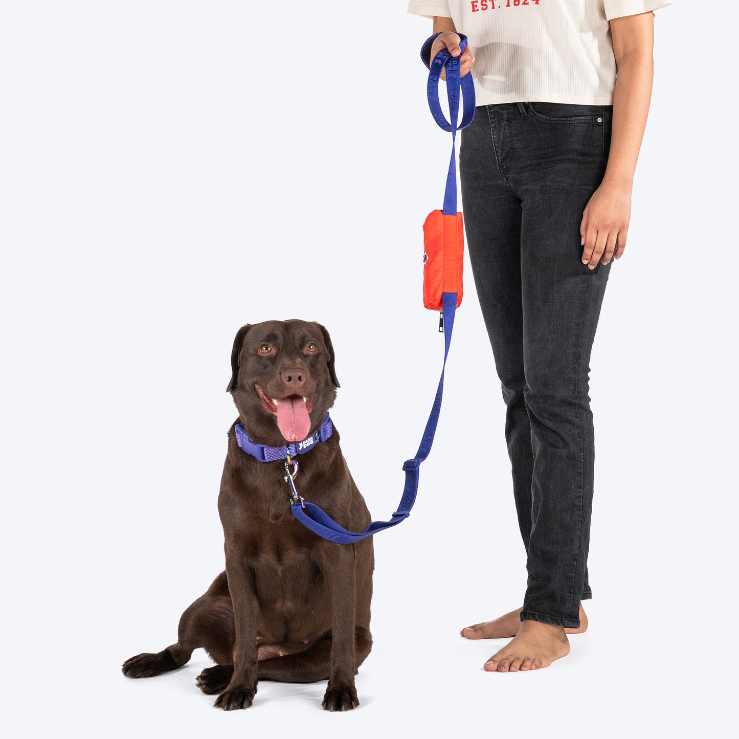 Dash Dog Oh-So-Handy Flexible Leash For Dog - Purple 7 ft