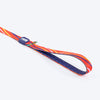 Dash Dog Radiant Blaze Dual Handle Leash For Dog - Orange - Heads Up For Tails