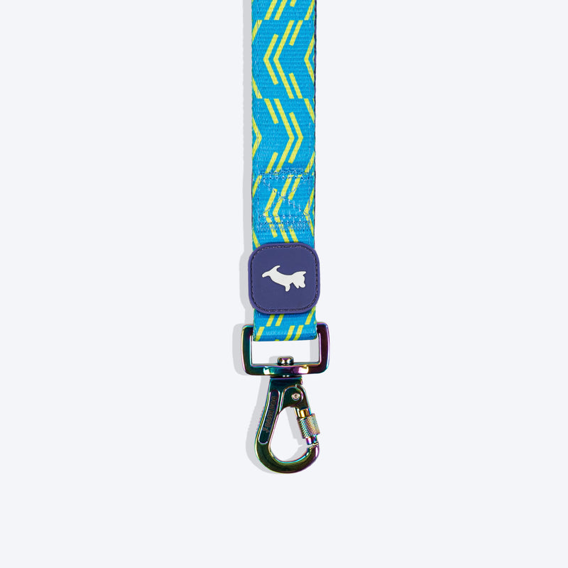 Dash Dog Vector Dual Handle Leash For Dog - Aqua Blue - Heads Up For Tails