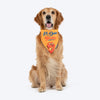 HUFT Ek Dum Bindas Bandana For Dog - Yellow - Heads Up For Tails