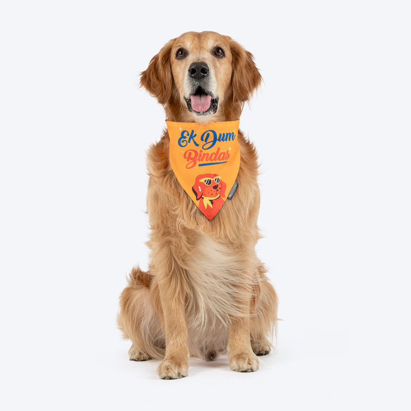 HUFT Ek Dum Bindas Bandana For Dog - Yellow - Heads Up For Tails