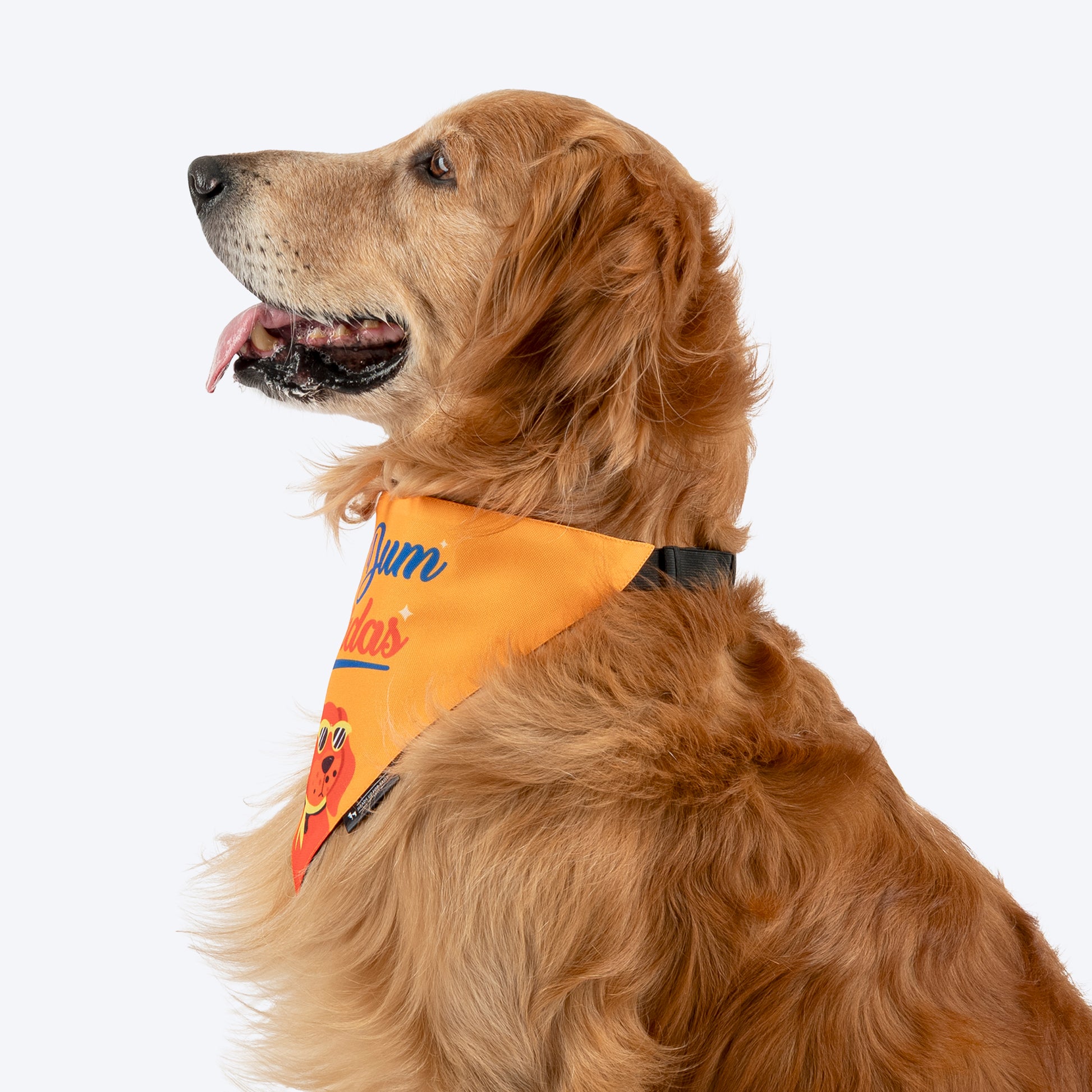 HUFT Ek Dum Bindas Bandana For Dog - Yellow - Heads Up For Tails